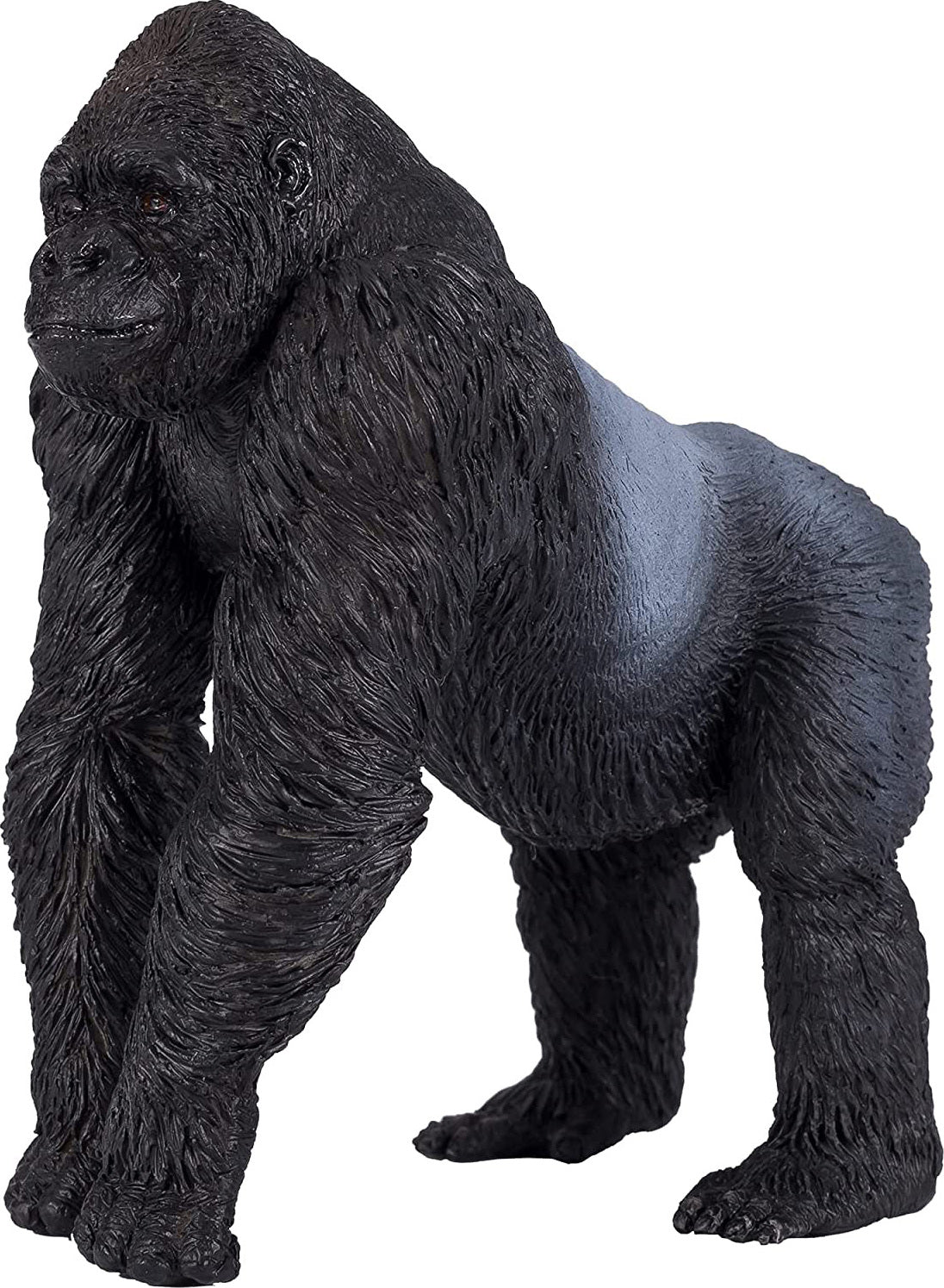 Gorilla (Silverback, walking)