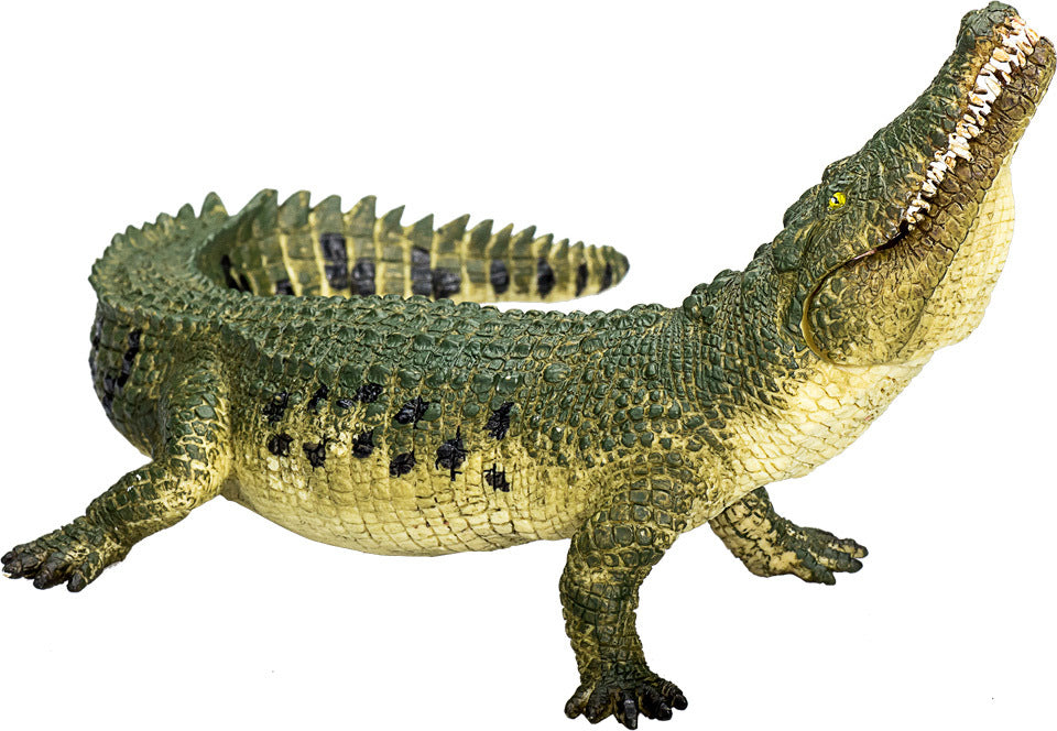 Crocodile with Articulated Jaw – Funky Monkey Toys & Books
