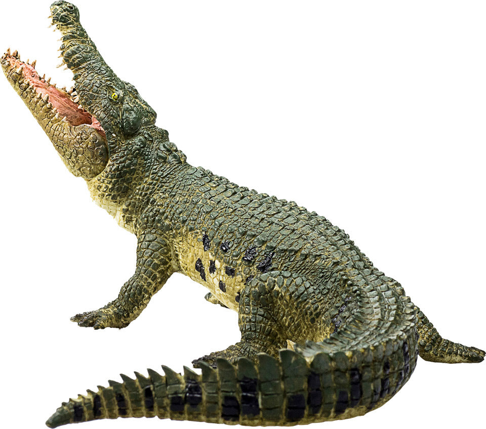 Crocodile with Articulated Jaw