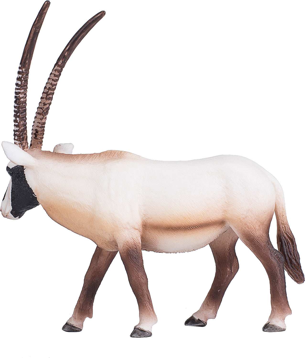 Arabian Oryx