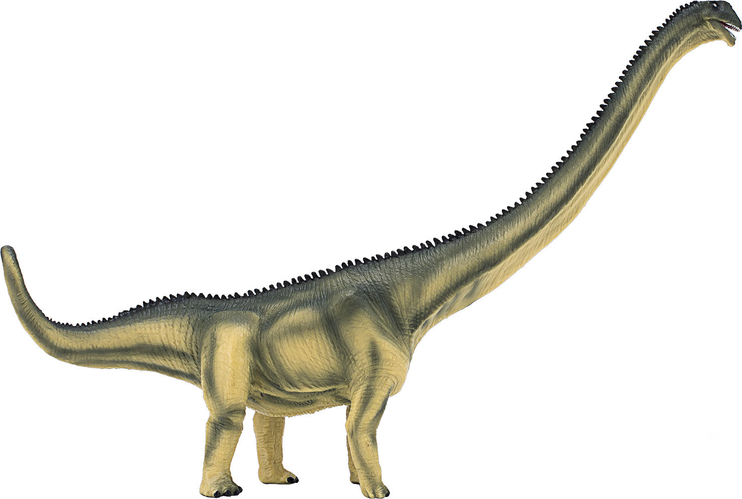 Deluxe Mamenchisaurus