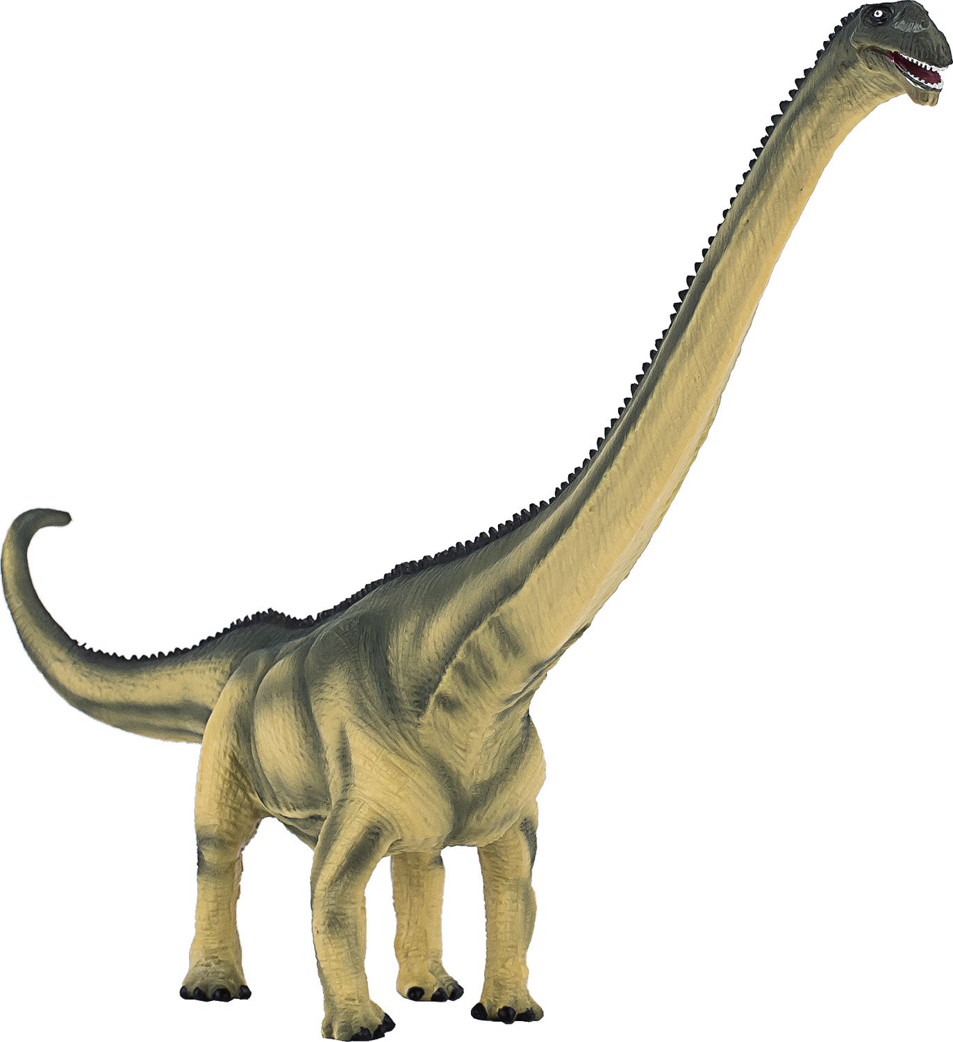 Deluxe Mamenchisaurus