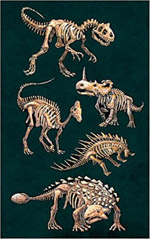 Glow in the Dark Dino Bones Sticker Pack