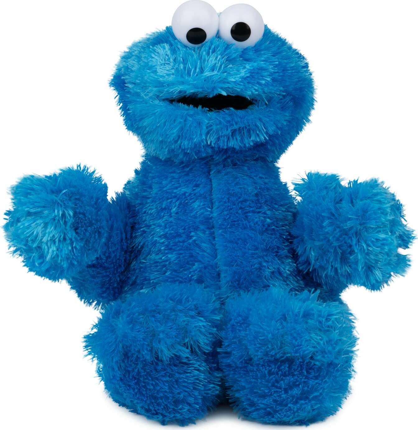 Sesame Street Cookie Monster, 12 In