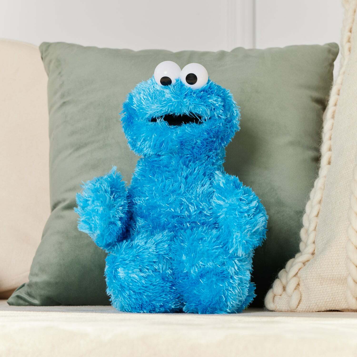 Sesame Street Cookie Monster, 12 In