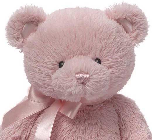 My 1st Teddy Pink, 10&quot;