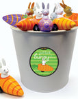 Pull Back Bunny Carrot Racers (assorted)