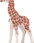Giraffe (young)