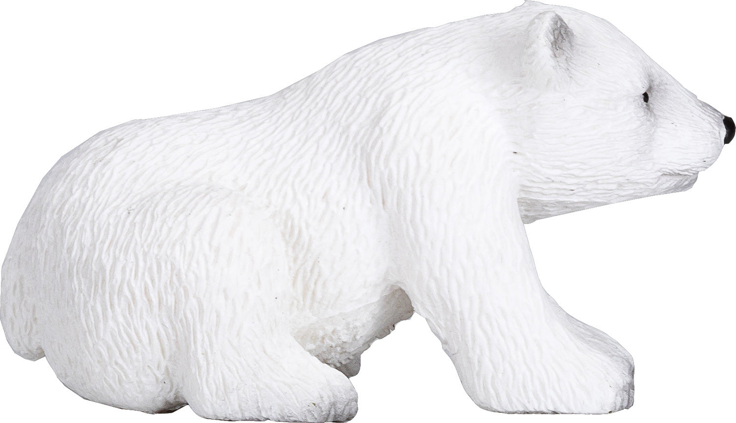 Polar bear cub Sitting