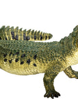 Crocodile with Articulated Jaw