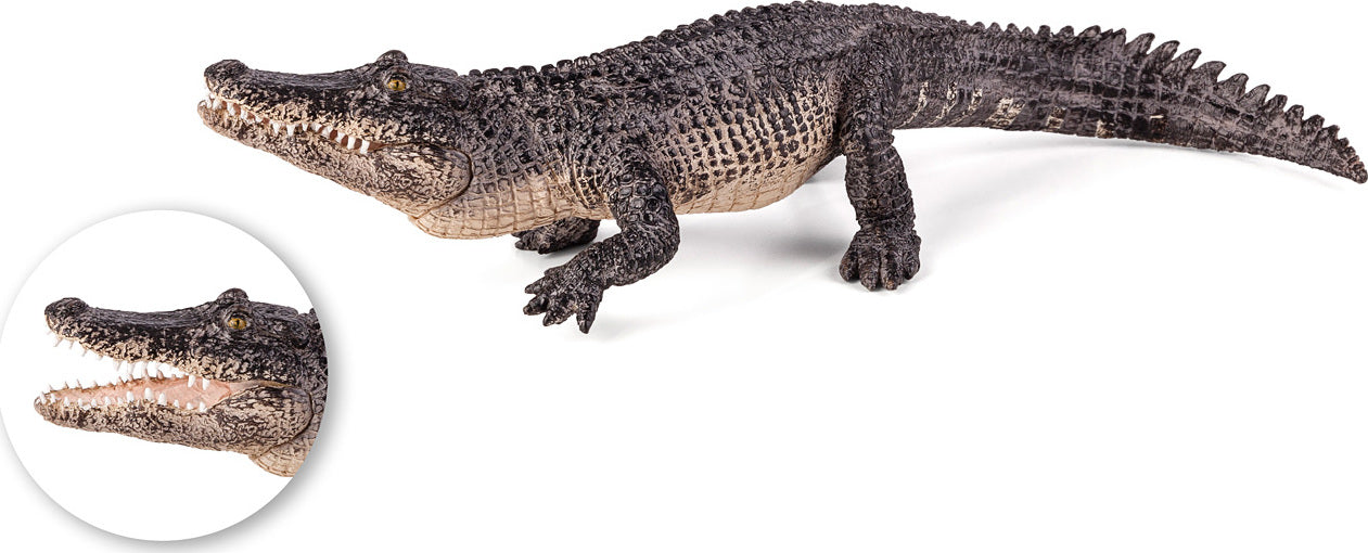 Alligator with Articulated Jaw