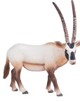 Arabian Oryx