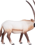 Arabian Oryx