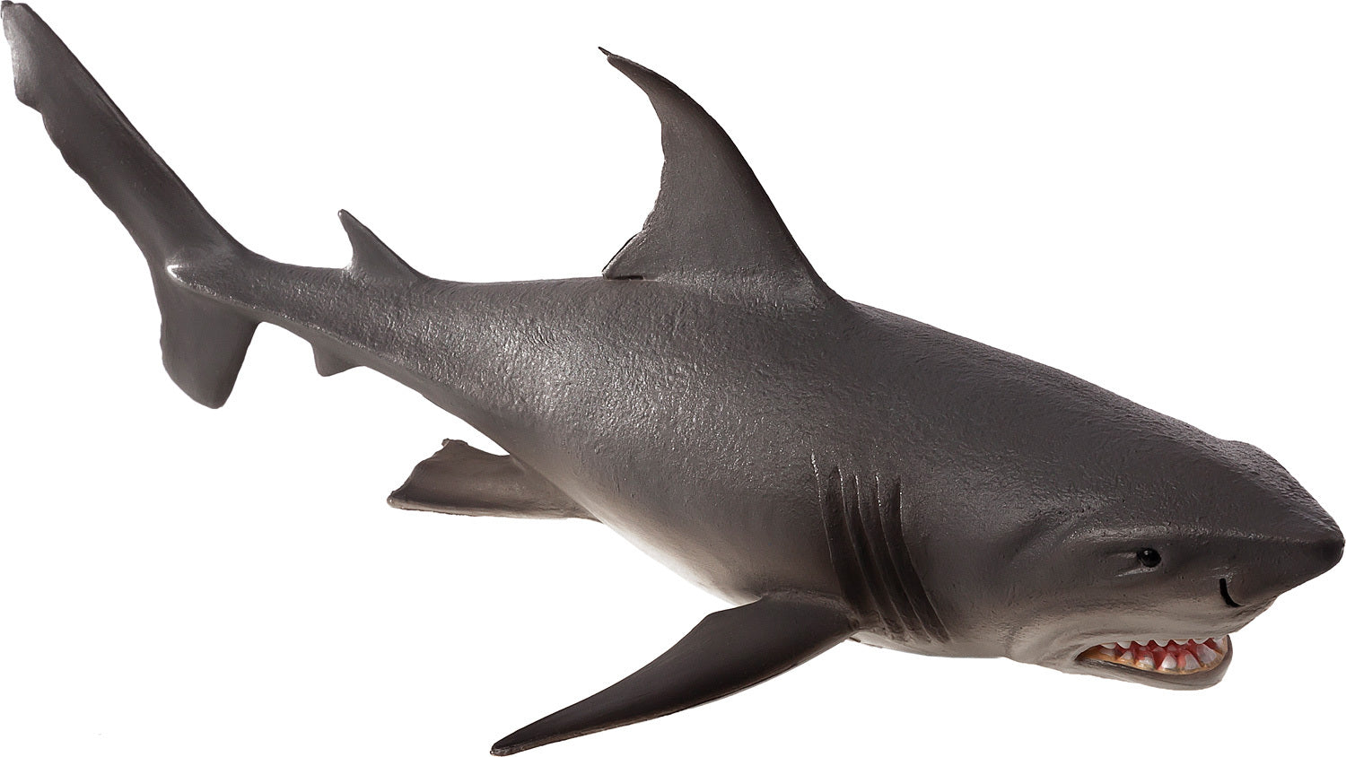 White Shark Large