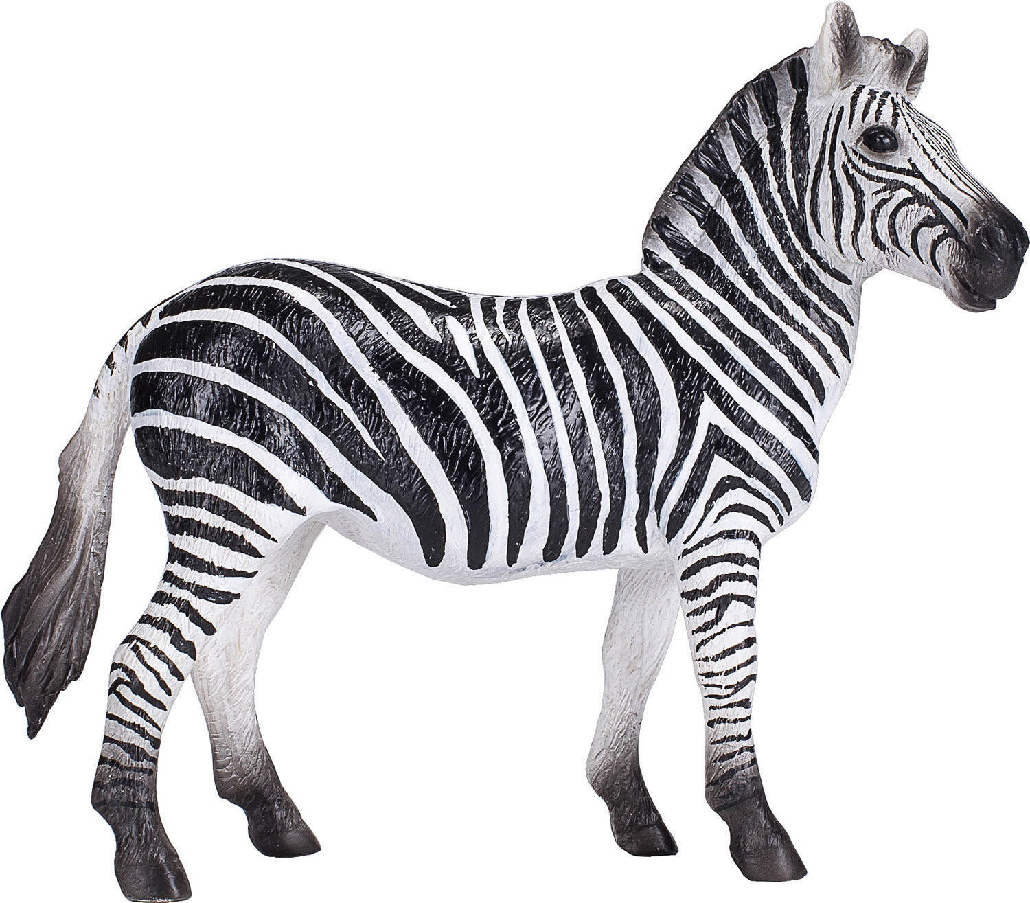 Zebra Mare