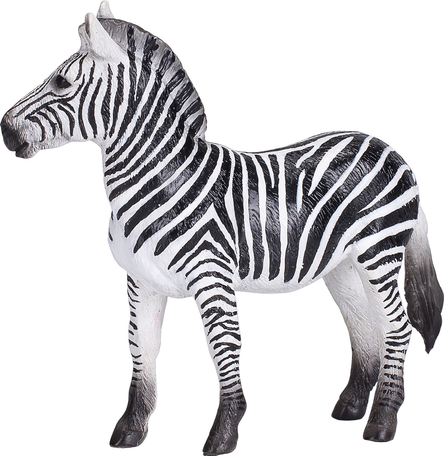 Zebra Mare