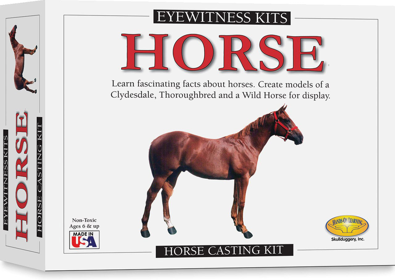 Horse Casting Kit