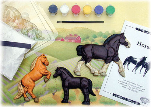 Horse Casting Kit