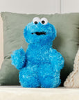 Cookie Monster - 12 in