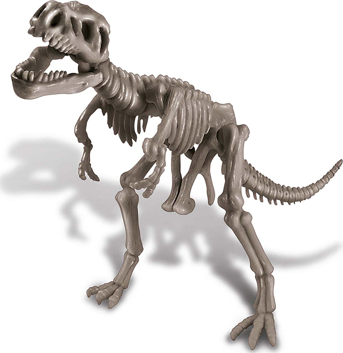 4M Kidz Labs Dig A Dino T-Rex 