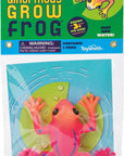 Ginormous Grow Frog 